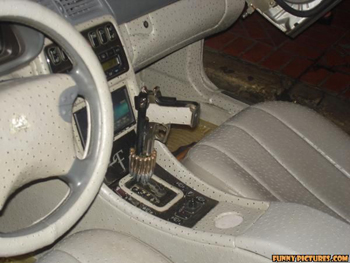 Now thats a security system