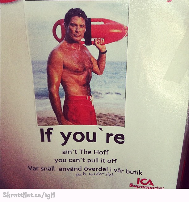 www.skrattnet.se--ar-du-inte-hasselhoff--1351868586.jpg