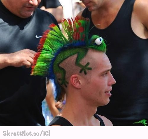 www.skrattnet.se--kameleontfrilla--1350669555.jpeg