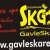 SKGSLoggomm