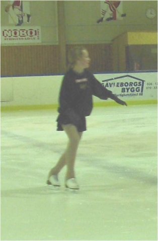 Säsongen0607