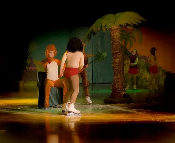 Bollnäs Show