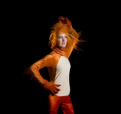 Bollnäs Show