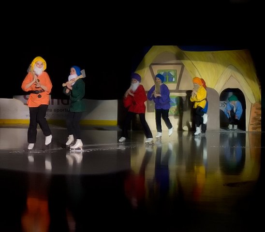 Bollnäs Show