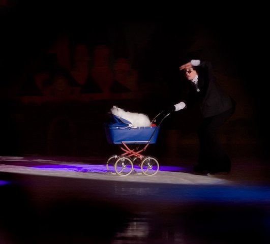 Bollnäs Show