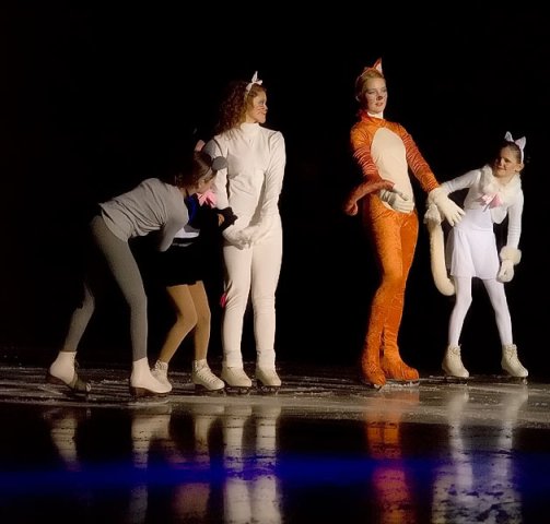 Bollnäs Show
