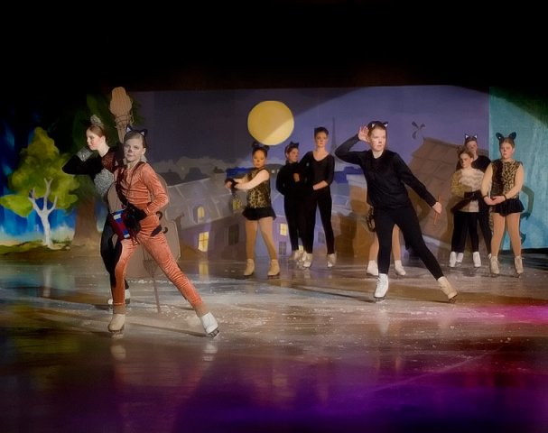 Bollnäs Show