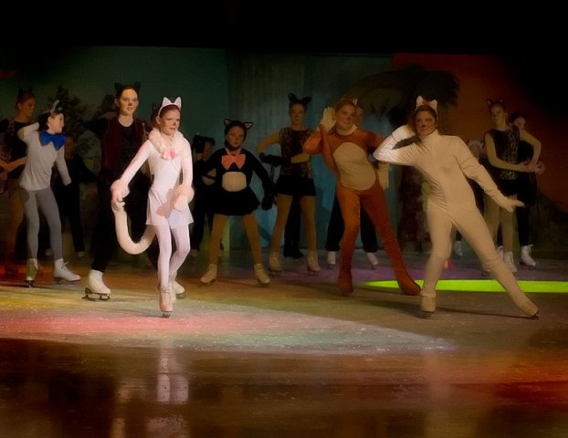 Bollnäs Show