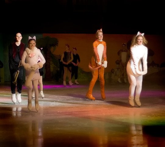 Bollnäs Show