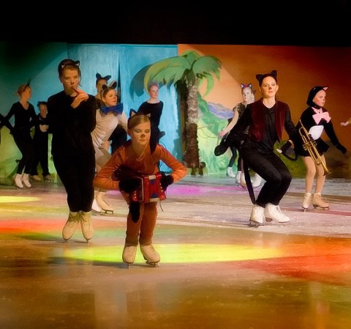 Bollnäs Show