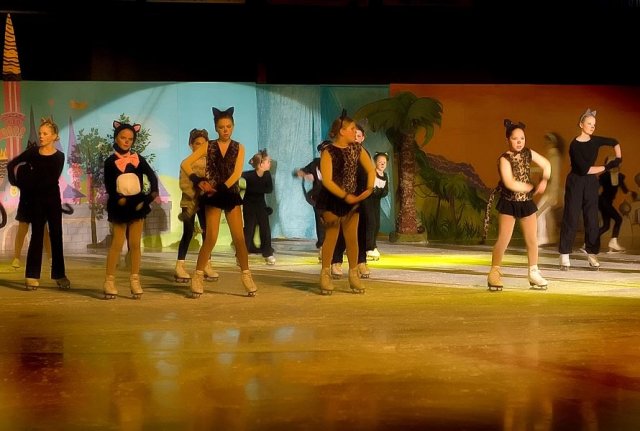 Bollnäs Show