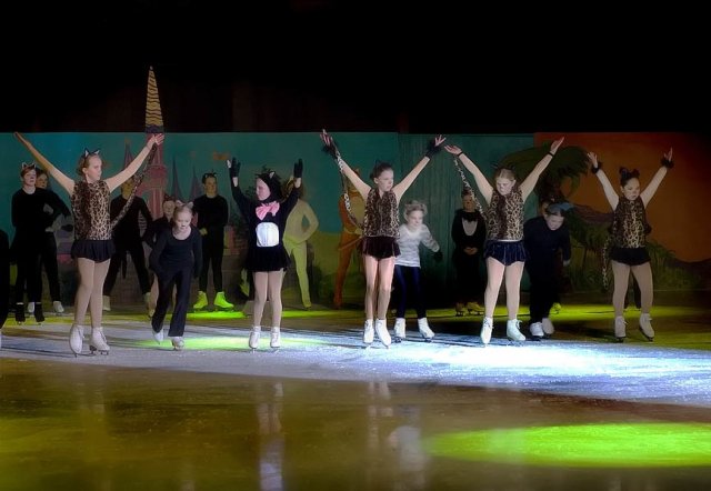 Bollnäs Show