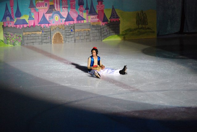 Gävle Show 2008