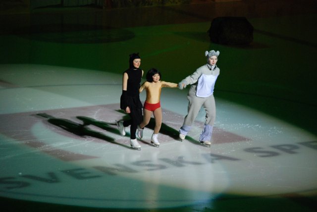 Gävle Show 2008