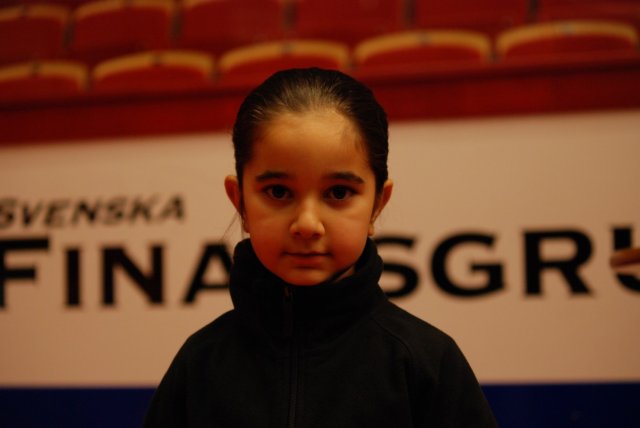 Gävle Show 2008