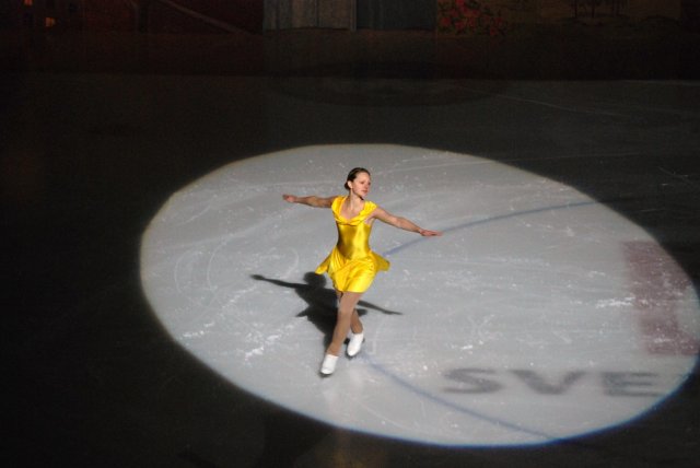 Gävle Show 2008