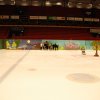 Gävle Show 2008