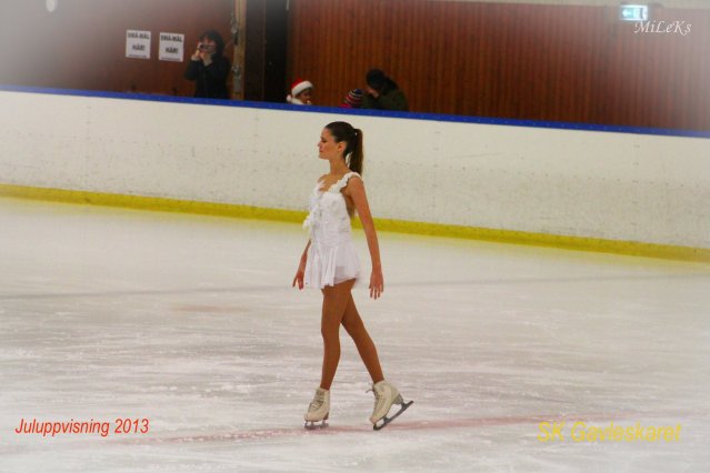 Julen 2013