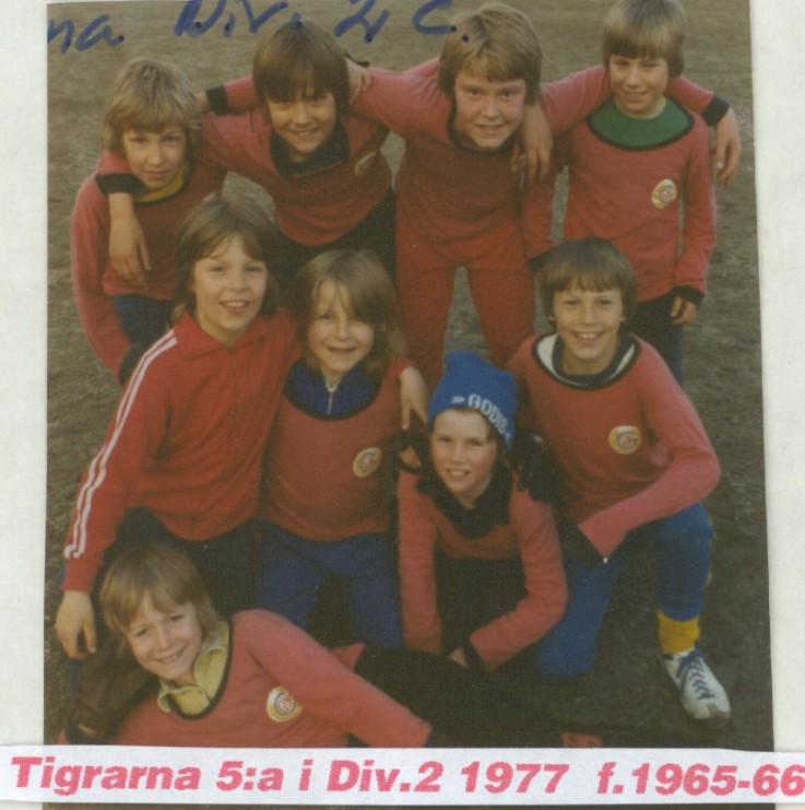 1977  tigrarna  5a i div 2.jpg