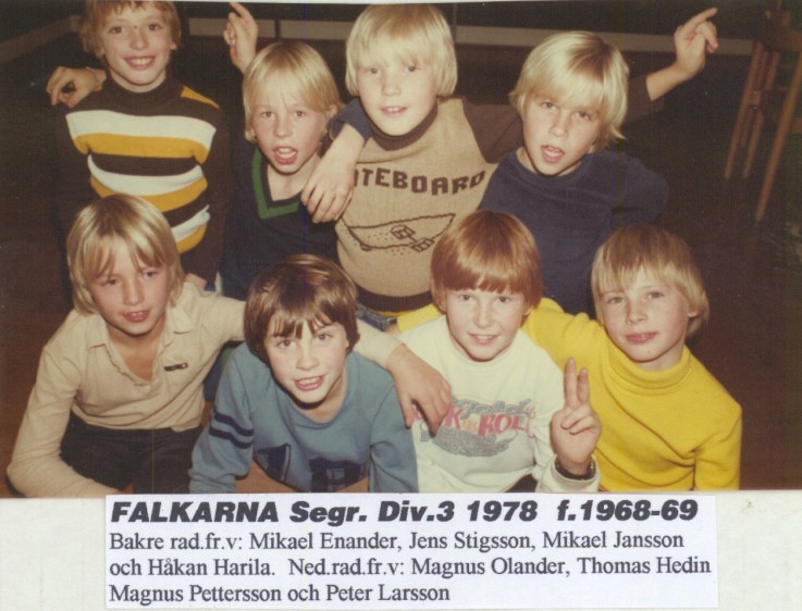 1978  falkarna  segr i div 3 (2).jpg