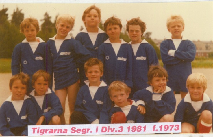 1981  tigrarna  segr i div 3.jpg