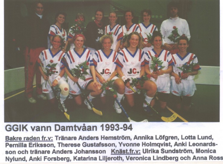 1993-94  seriesegrare div 2.jpg
