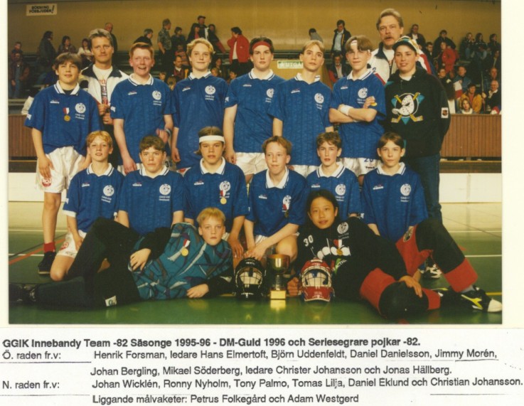 1982 dm-guld  seriesegrare 1995-96 .jpg