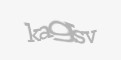 Säkerhetskod