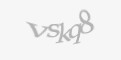 Säkerhetskod