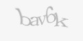 Säkerhetskod