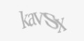 Säkerhetskod