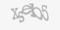 Säkerhetskod