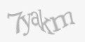 Säkerhetskod