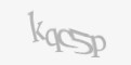 Säkerhetskod